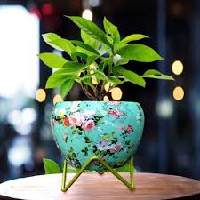 Flower Pot