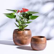 Wooden Pot