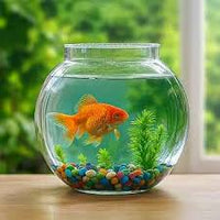 Aquarium