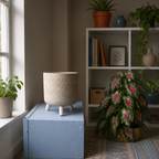Ceramic Pot