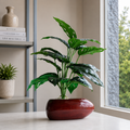 ecorative Artificial Plant