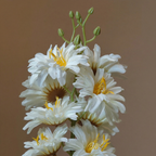 Wooden Pot With Fixed White Plastic Flowers