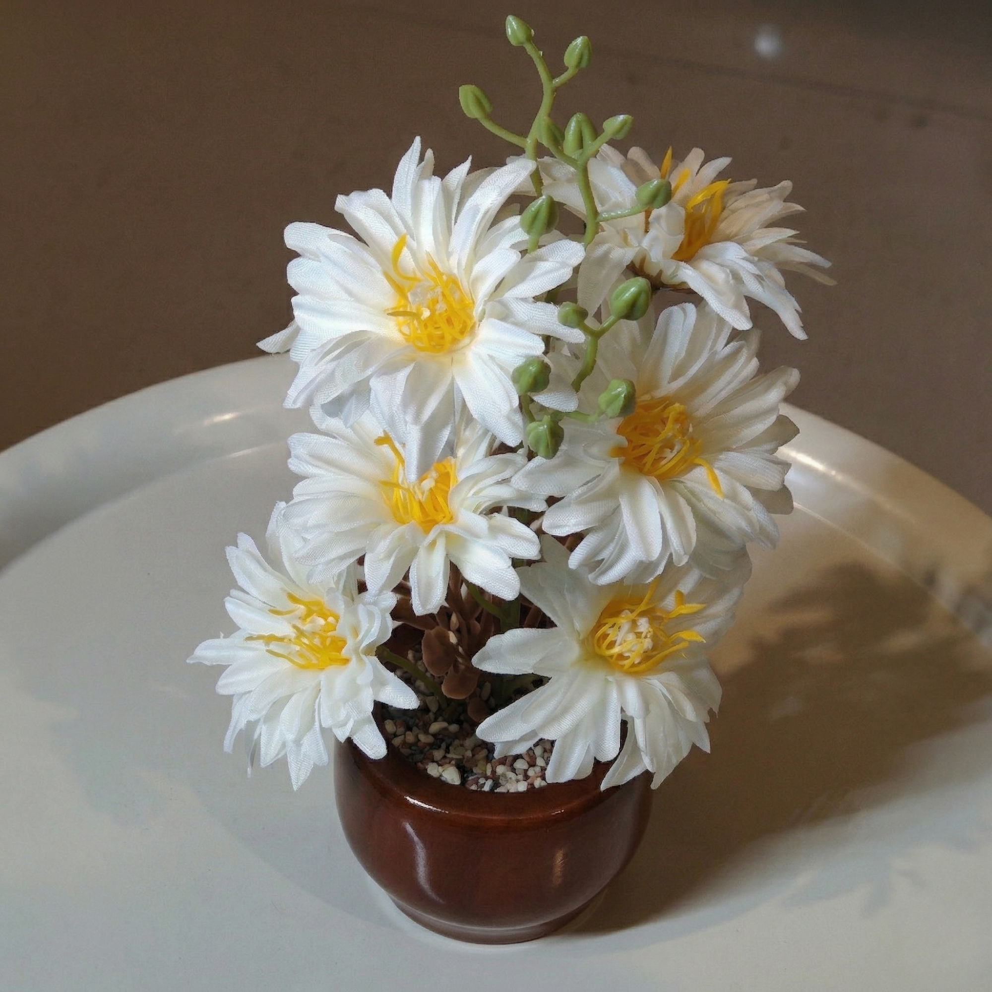 Wooden Pot With Fixed White Plastic Flowers