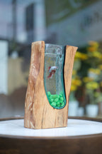 AQUARIUM
