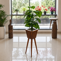 WOODEN POT