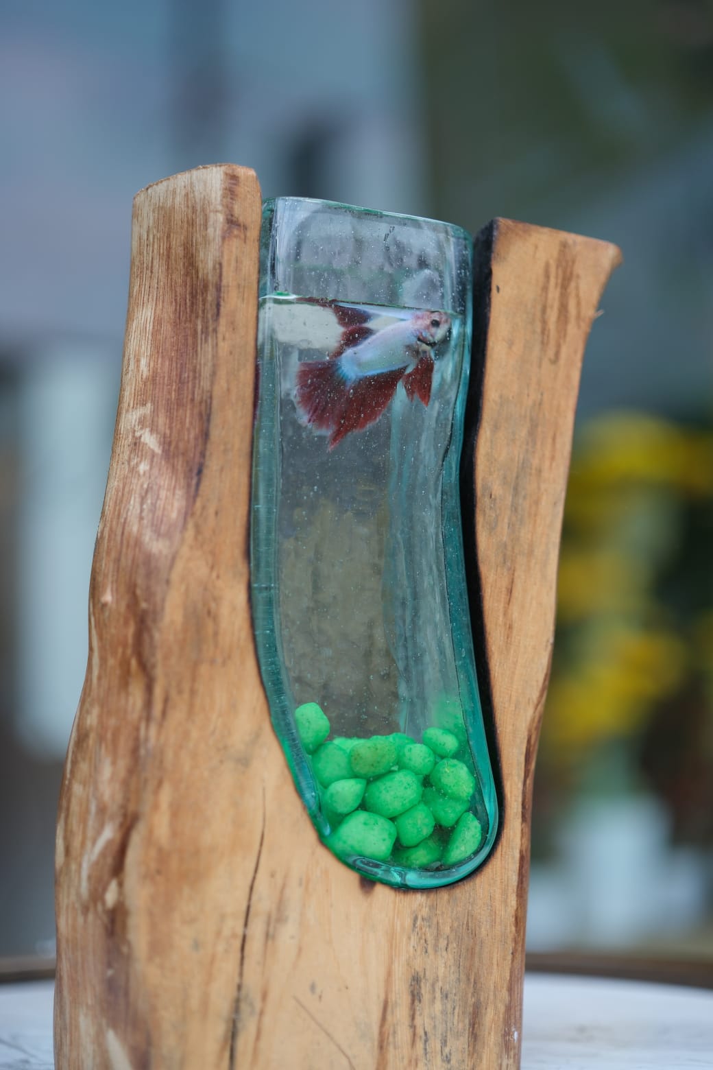 AQUARIUM