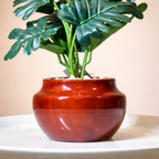 Wooden Pot With Artificial Leaves