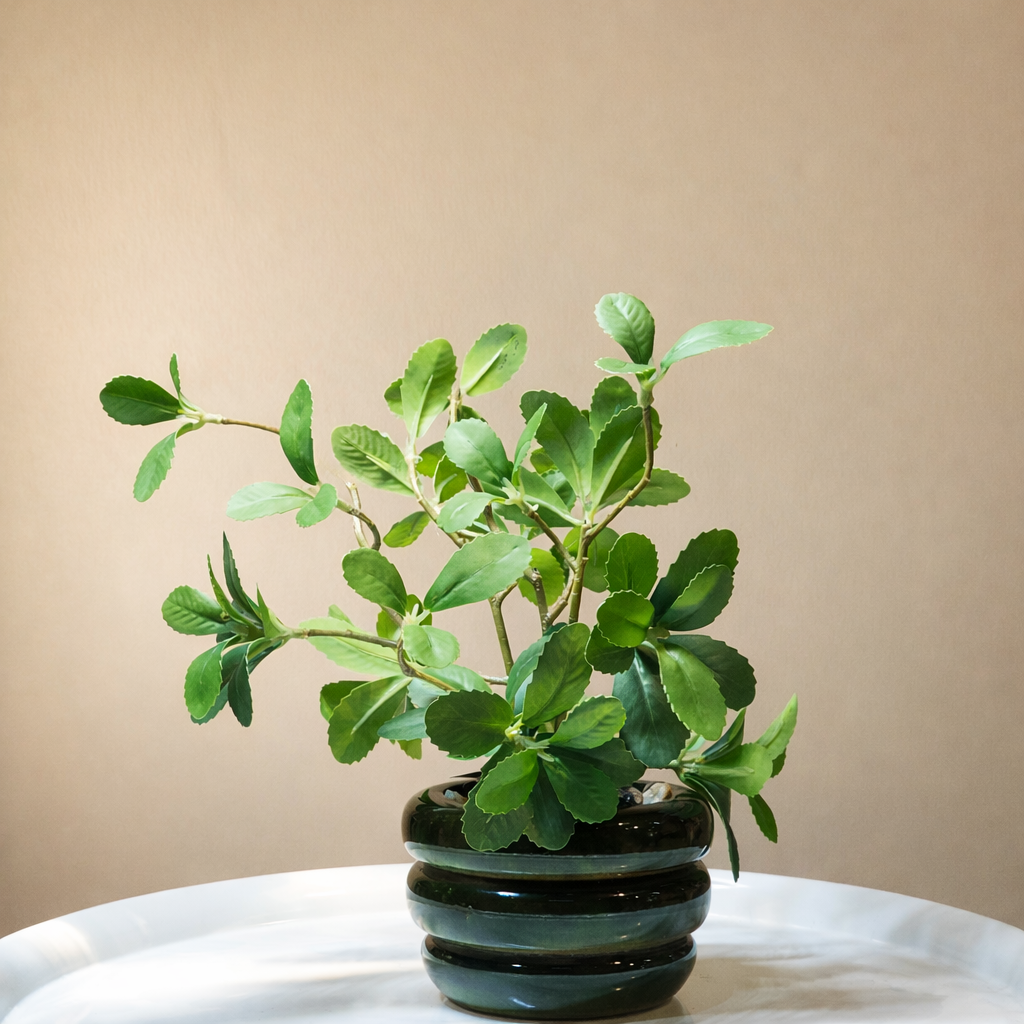 Wooden Pot And Plastic Leaves