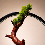 Metallic Stand, Wooden Tree And Base, Light Ring