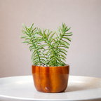 Wooden Planter with Artificial Succulent