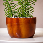 Wooden Planter with Artificial Succulent