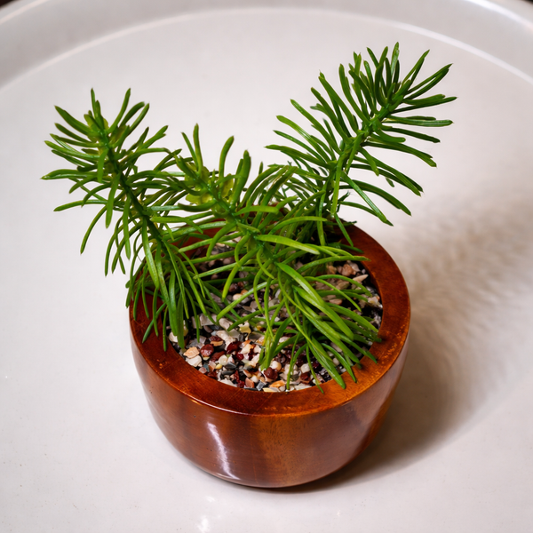 Wooden Planter with Artificial Succulent