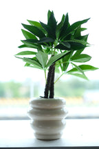 artificial plant