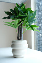 artificial plant