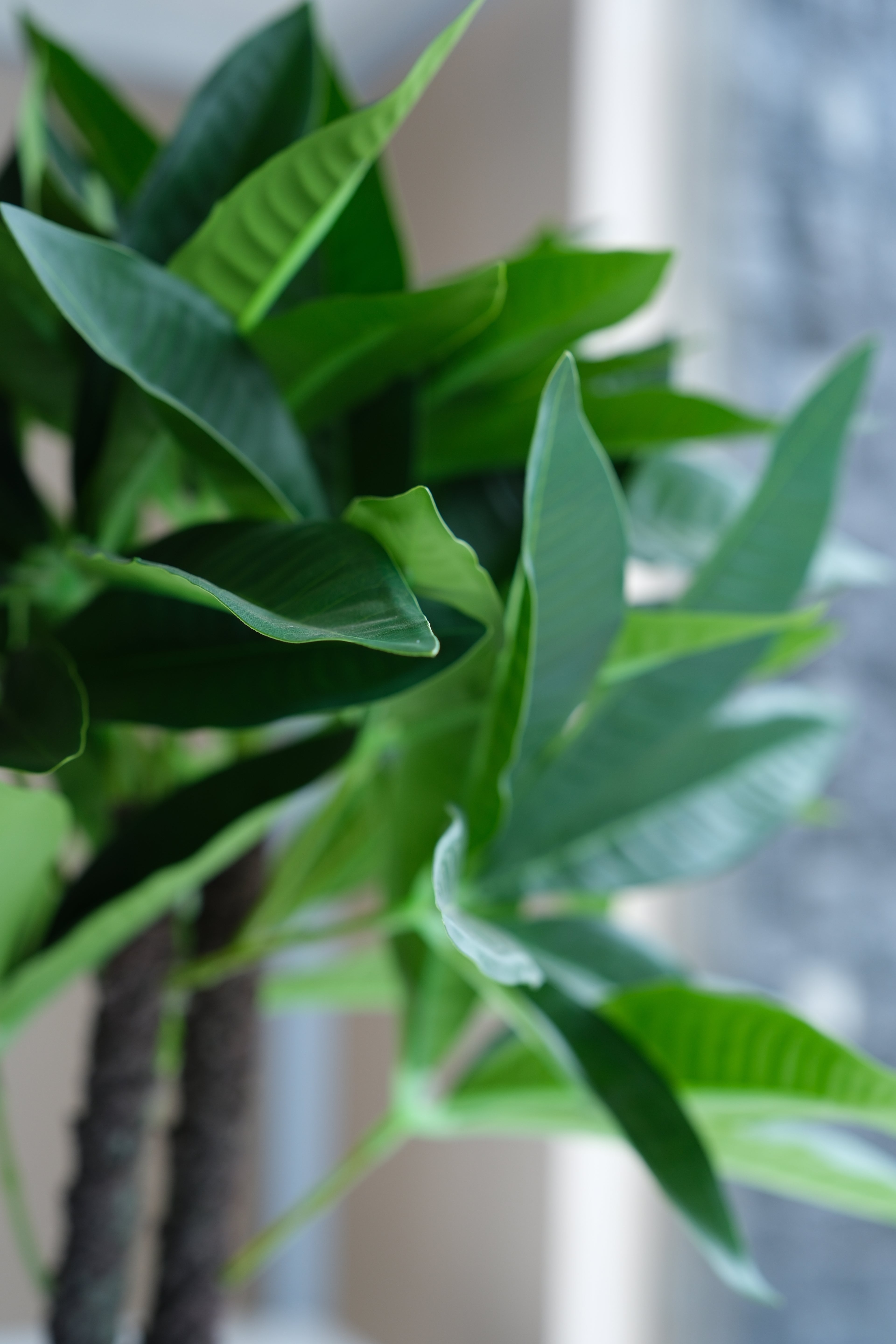 artificial plant