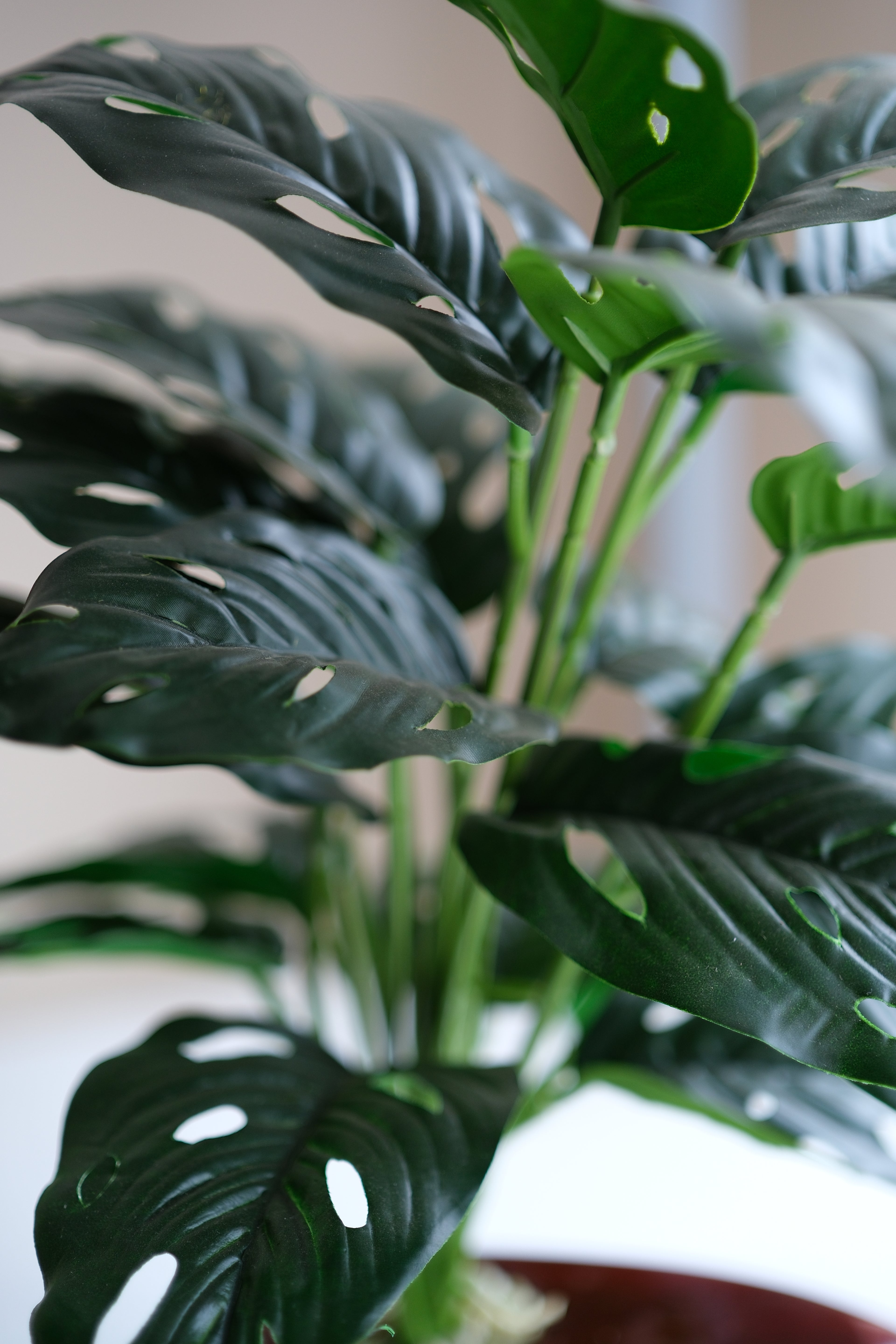 ecorative Artificial Plant