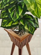 WOODEN POT