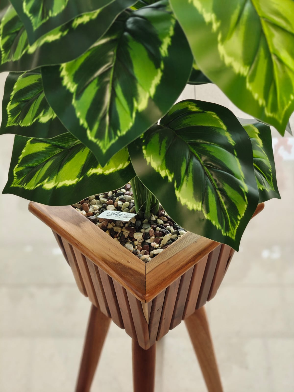 WOODEN POT