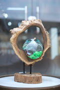 Wooden Aquarium Decor