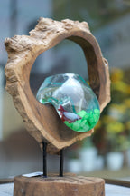Wooden Aquarium Decor