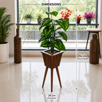 WOODEN POT